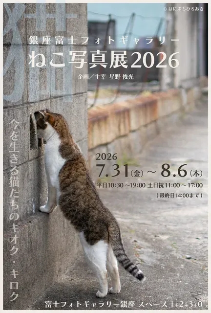 銀座 Fuji Photo Gallery 貓咪攝影展 2026
