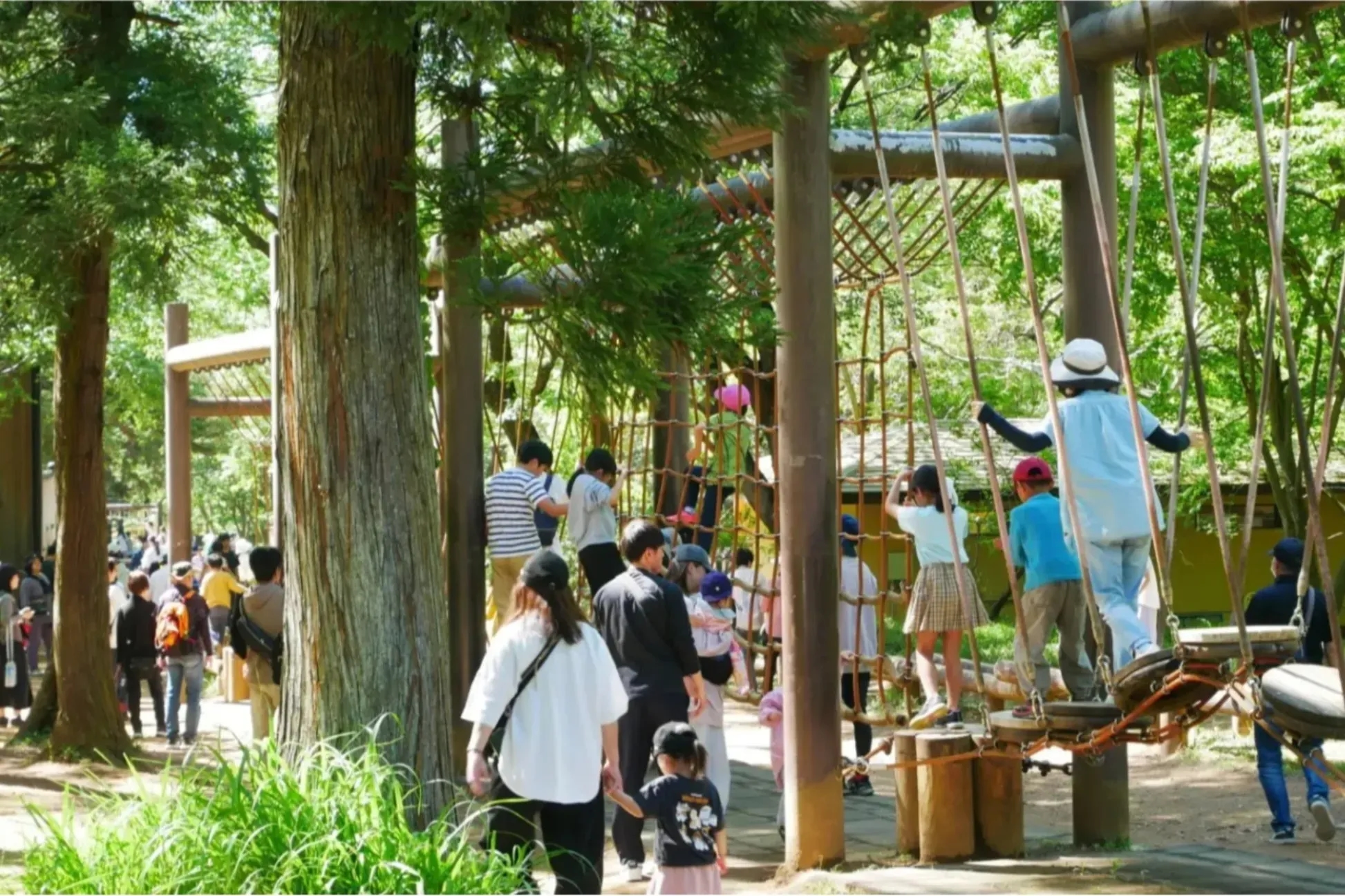埼玉推薦體能遊具與公園 5 選